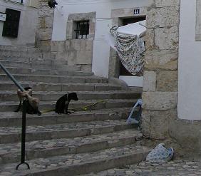 20061108124008-reducida-blog-pobreza-portugal.jpg