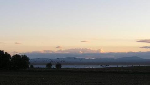 20061108231704-blog-gallocanta.jpg
